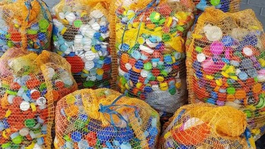 Ile kosztują nakrętki w skupie? Sprawdź aktualne ceny i zarobki